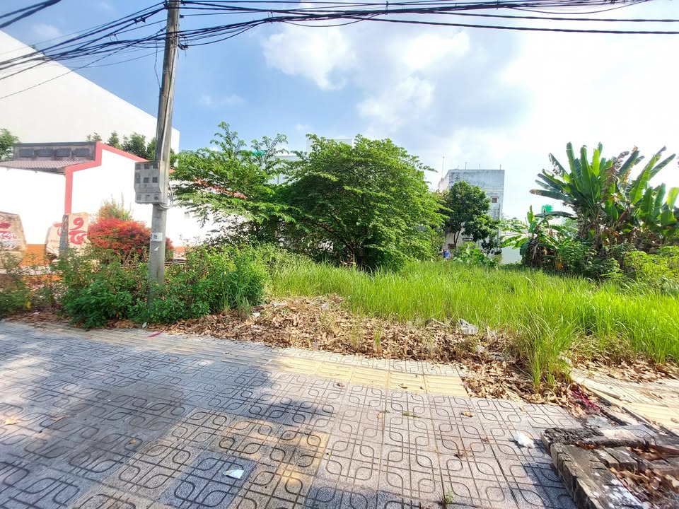 Đất mặt tiền đường Nguyễn Văn Nguyễn, Bến Tre 109.6m² giá 3.85 tỷ - Vị trí kinh doanh lý tưởng!