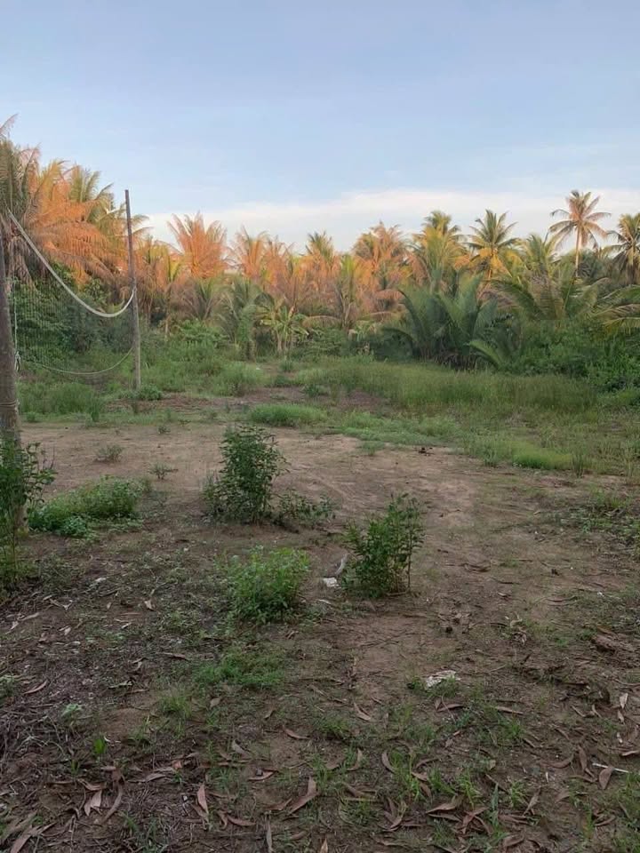 Đất nền Tân Thành Bình 180m² giá 450 triệu - Vị trí đắc địa, thổ cư 100%!