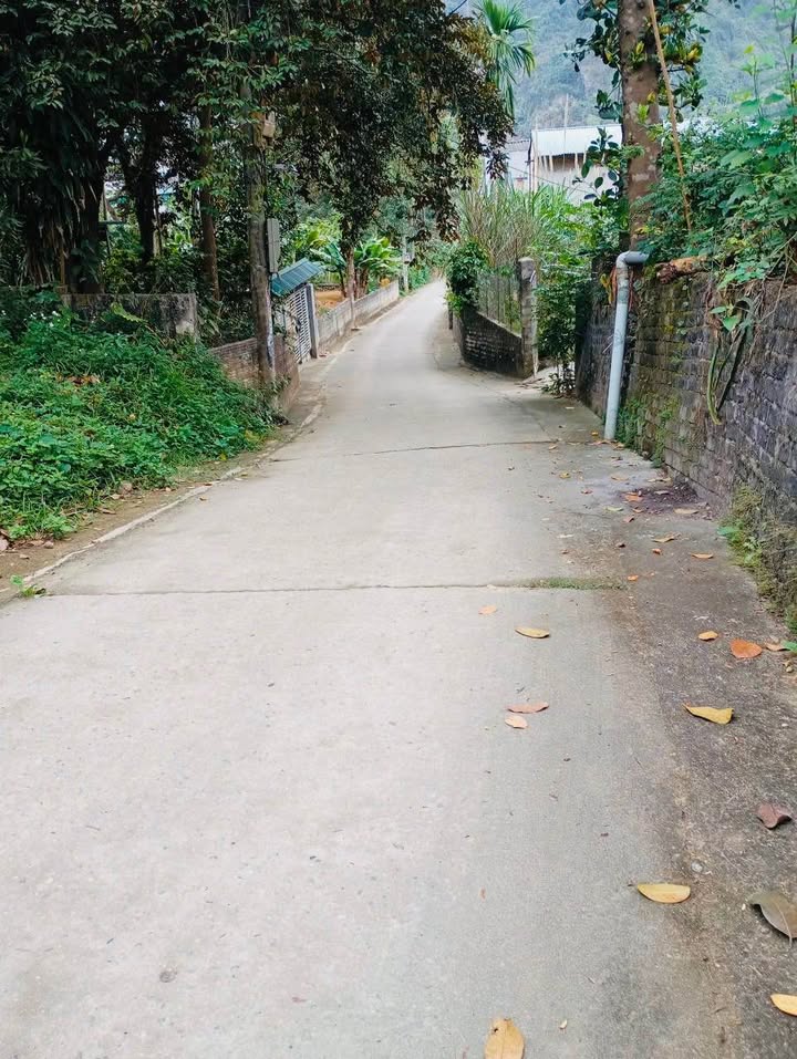 Nhà cấp 4 xóm 2 Tràng Đà 147.2m² giá 1 tỷ - An ninh tốt, gần chợ!