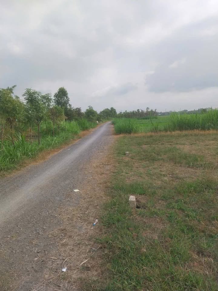 Đất nền mặt tiền đường Đá Xanh, Xã Long Bình, 265m² giá 390 triệu - Đầu tư sinh lời!