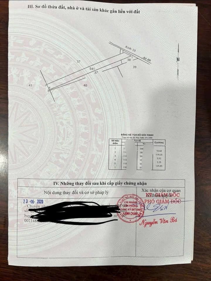 Đất vườn 1000m² mặt tiền đường Kênh 10, Tân Nhựt, chỉ 2.5 tỷ - Cơ hội đầu tư tuyệt vời!