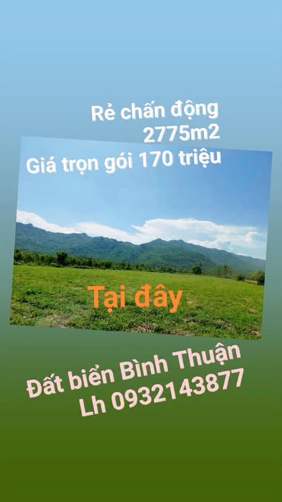 Đất nông nghiệp 2775m² tại xã Phong Phú, giá chỉ 170 triệu - Đầu tư sinh lời tuyệt vời!