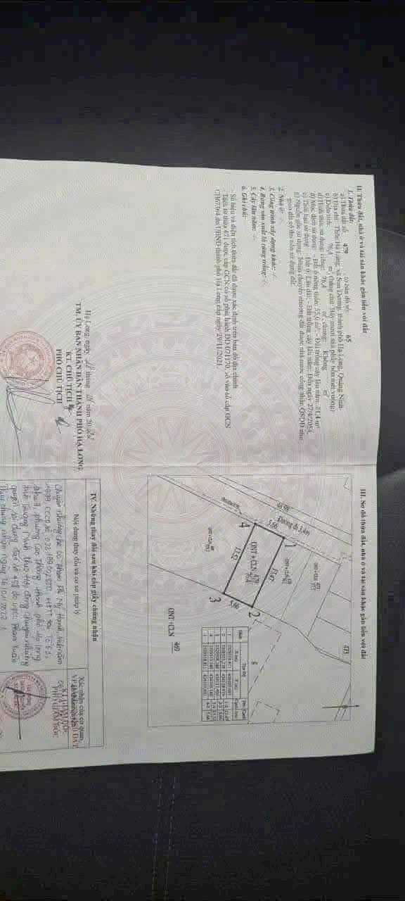 Đất phân lô Hạ Lùng 76m² giá 450 triệu - Sổ đỏ chính chủ, cơ hội đầu tư tuyệt vời!