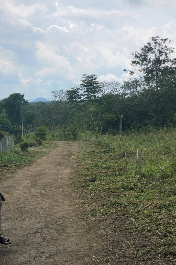 Đất Suối Tre 1.010,5m² giá 650 triệu - Sổ đỏ chính chủ, công chứng nhanh chóng!