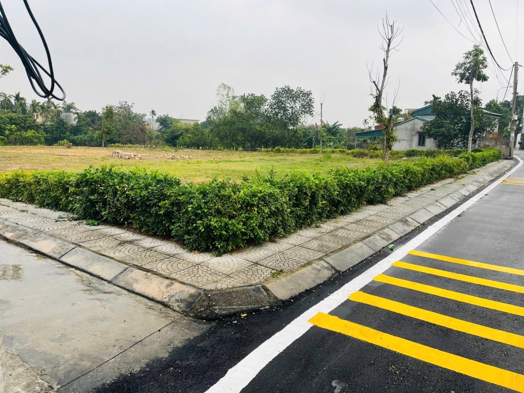 Đất nền Mạo Khê Đông Triều 123m² giá 1.35 tỷ - Đầu tư sinh lời an toàn!