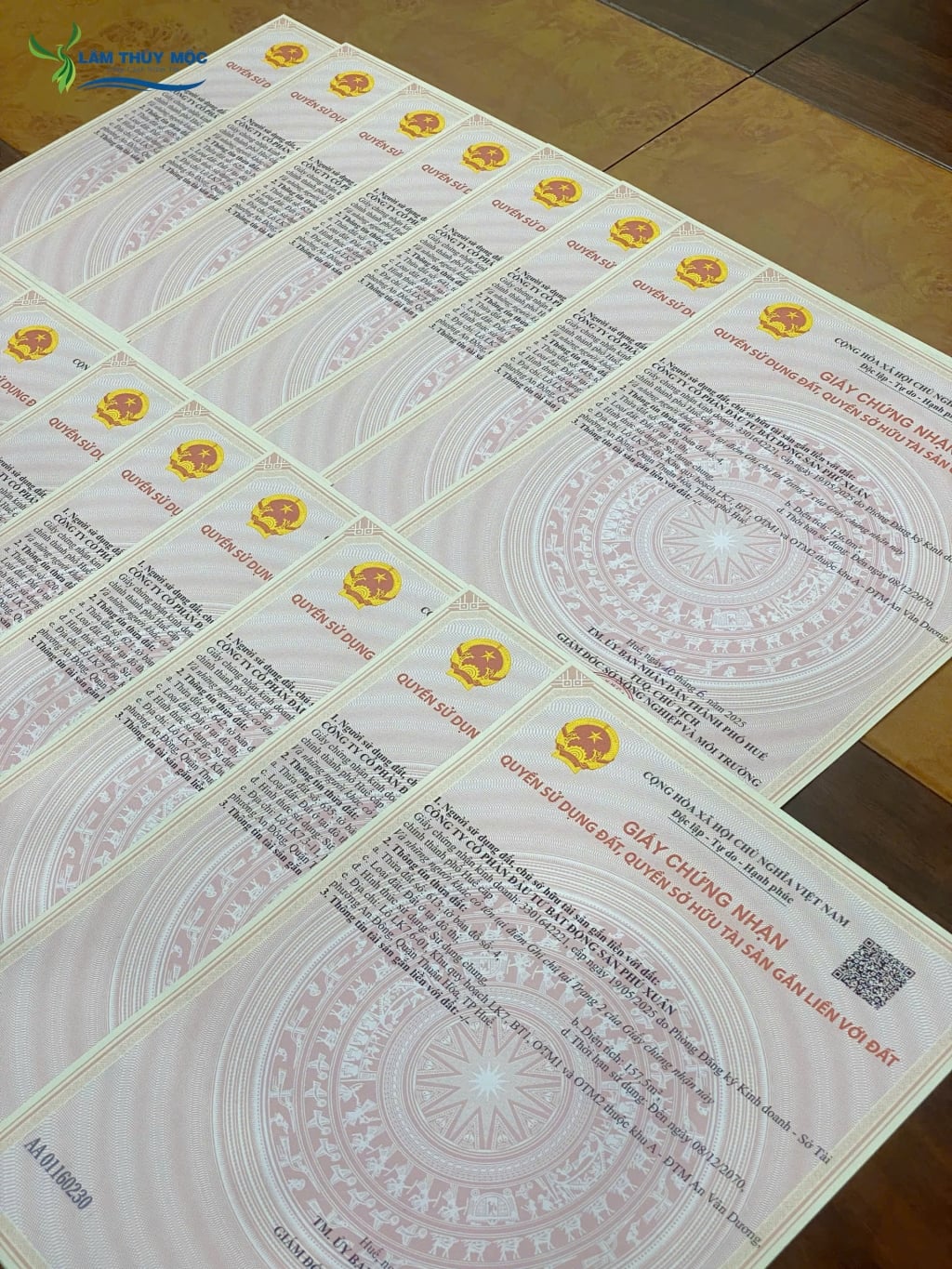 Shophouse Phú Xuân City 126m² giá 9 tỷ - Tạo dòng tiền bền vững ngay!