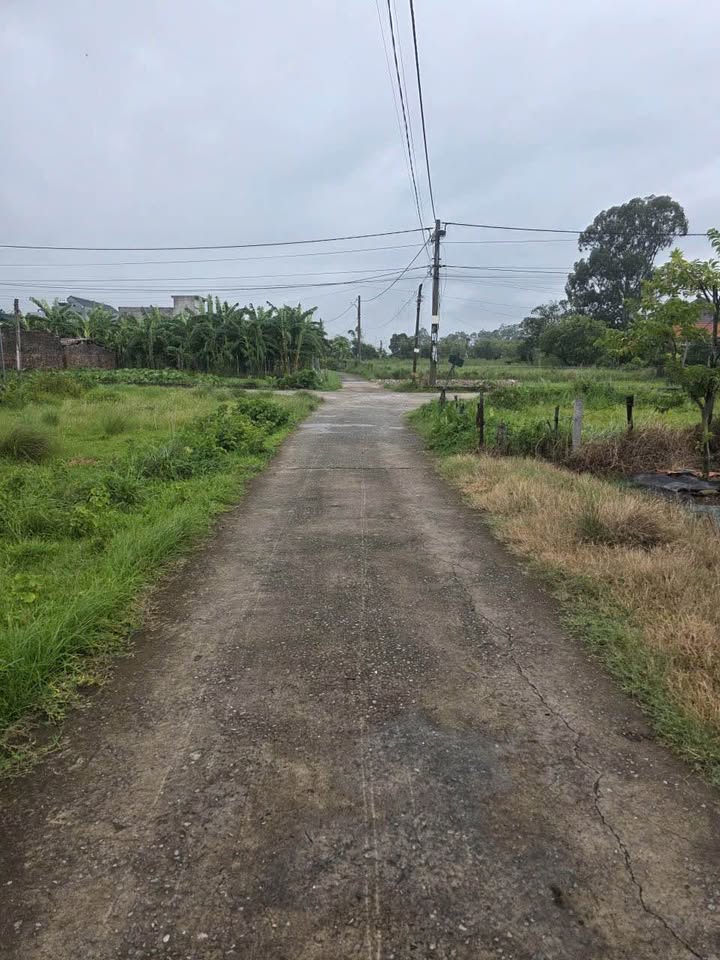 Đất nền góc Thôn 11 Hải Xuân 93m² giá 700 triệu - Cơ hội đầu tư hấp dẫn!