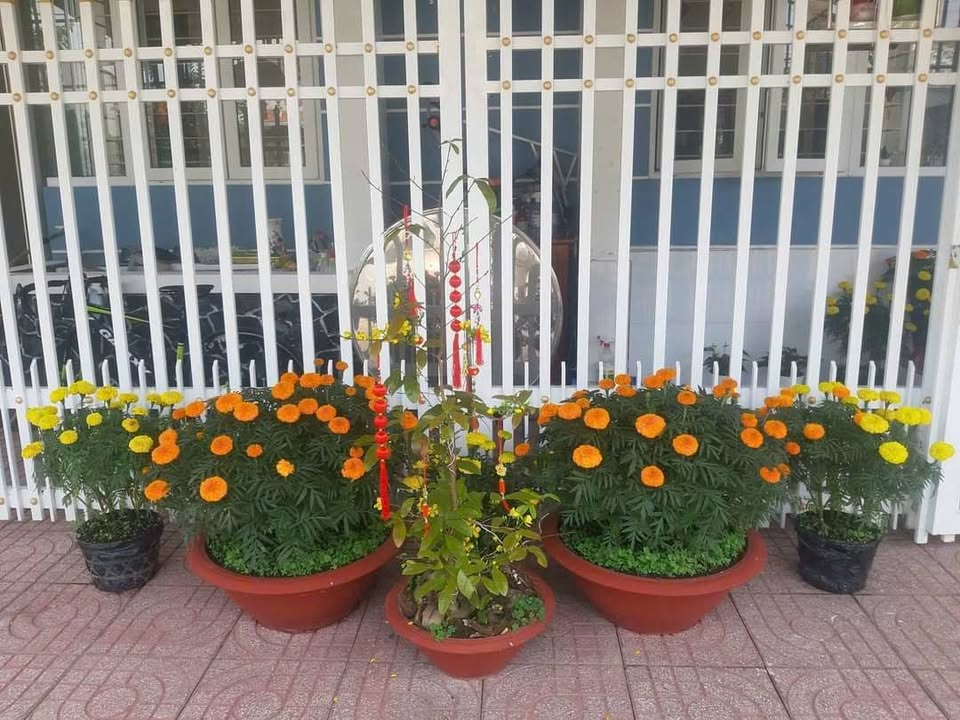 Nhà Cấp 4 Lấp Vò 95m² - Giảm 100 Triệu, Giá 1.35 Tỷ