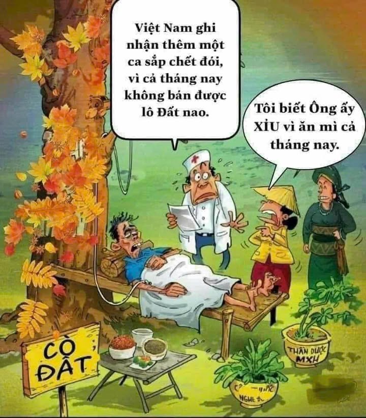 Lô đất Farm 500m² tại Cầu Cây Xanh, Củ Chi - Đầu tư sinh lời hấp dẫn!