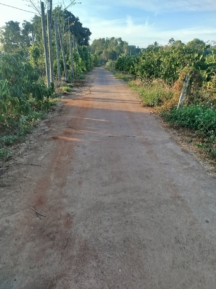 Đất nền trung tâm thị trấn Ia Khai 200m² chỉ 299 triệu - Cơ hội đầu tư tuyệt vời!