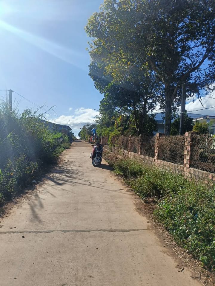 Đất nền hẻm Bùi Viện, An Phú, 195m² giá 4 tỷ - Sổ đỏ chính chủ!