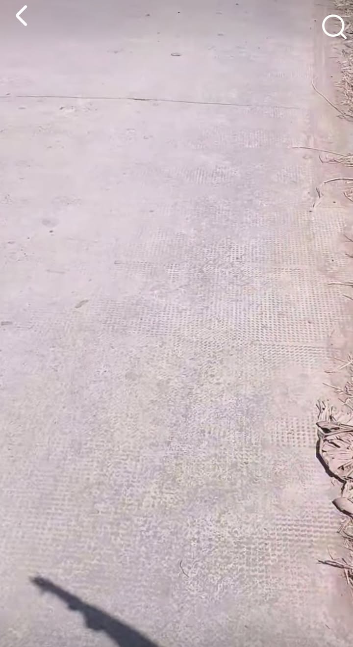 Đất nền 2000m² tại Mỹ Thạnh, Ba Tri, Bến Tre giá 590 triệu - Cơ hội đầu tư hấp dẫn!