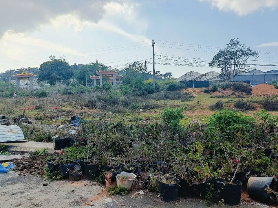 Đất Biệt thự Đà Lạt 200m² giá 7.5 tỷ - View săn mây tuyệt đẹp!