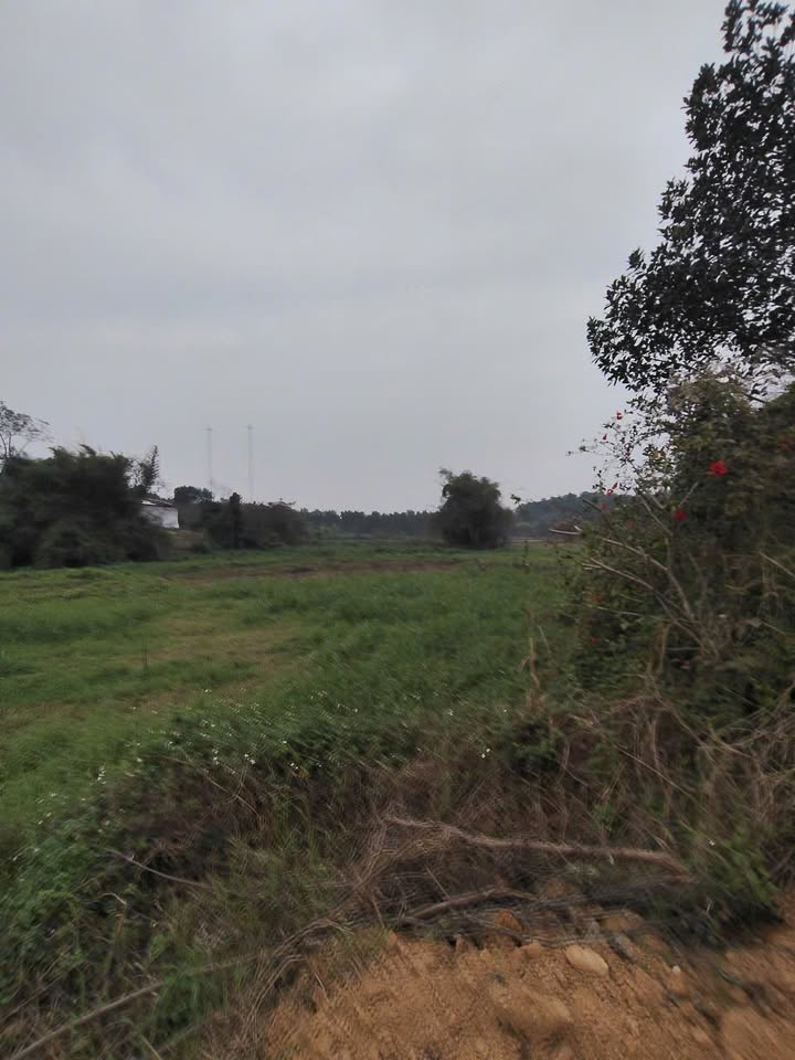 Lô đất mặt đường nhựa Ba Vì 400m² giá 3 tỷ - Đầu tư sinh lời lý tưởng!