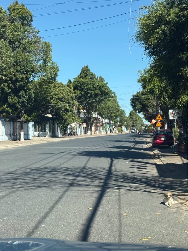 Đất nền đường Trần Văn Hai, Tân Cảnh, 200m² giá chỉ 2 tỷ - Cơ hội đầu tư tuyệt vời!