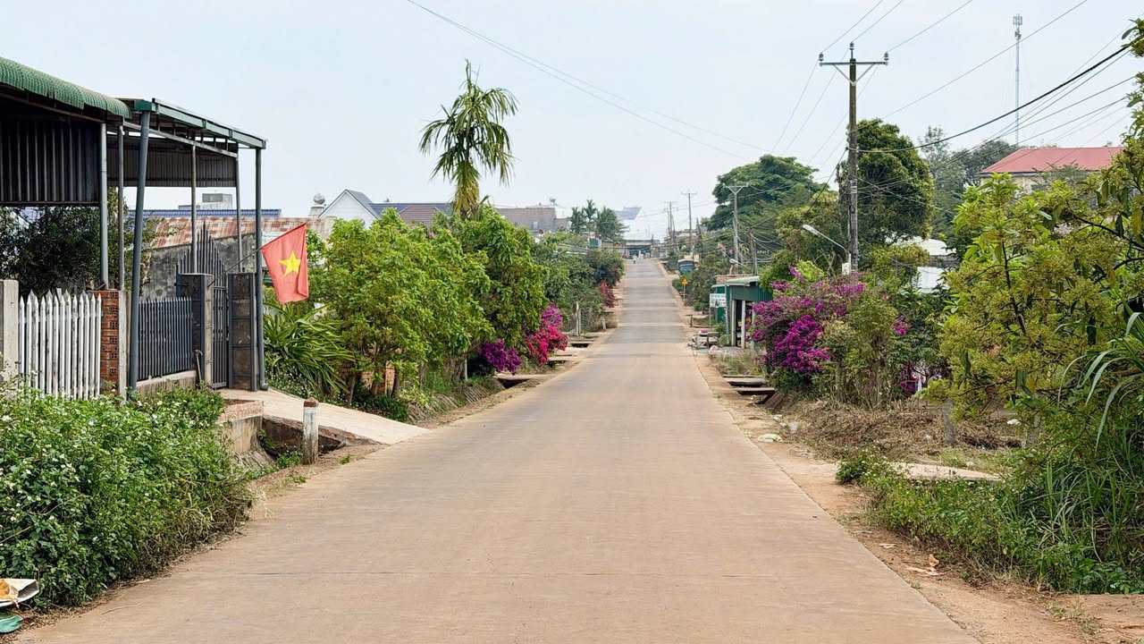 Đất nền mặt tiền xã Tân Hà, Lâm Hà - Diện tích 1.000m² chỉ 799 triệu - Cơ hội đầu tư hấp dẫn!