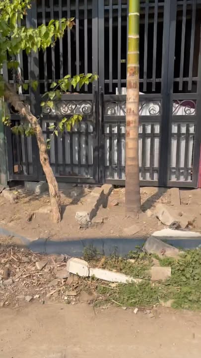 Đất nền thôn Quyền, xã Ngọc Sơn, 150m² giá 1.x tỷ - Cơ hội đầu tư sinh lời!