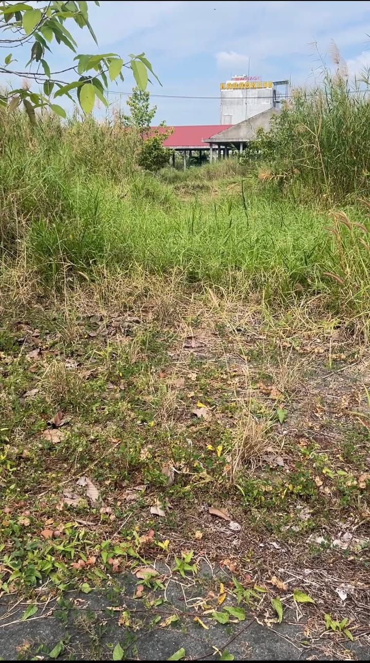 Đất nền KDC Vạn Phát Mái Dầm, 82.5m² giá chỉ 660 triệu - Sổ riêng chính chủ!