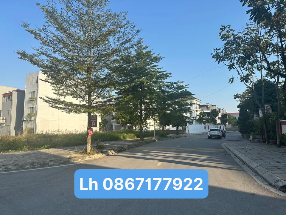 Đất Lạc Ngàn 90m² - Kinh Doanh Sầm Uất Đường Vũ Thê Lang, Việt Trì