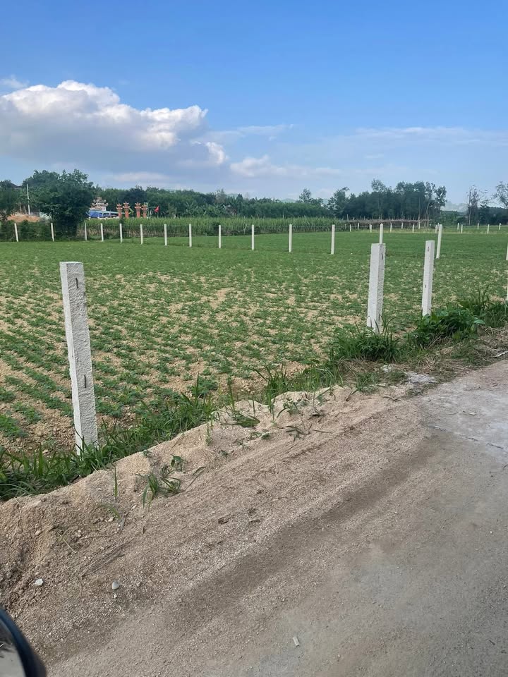 Đất trồng cây xã Hòa Nhơn 1000m² giá 6xx triệu - Tiềm năng đầu tư cao!