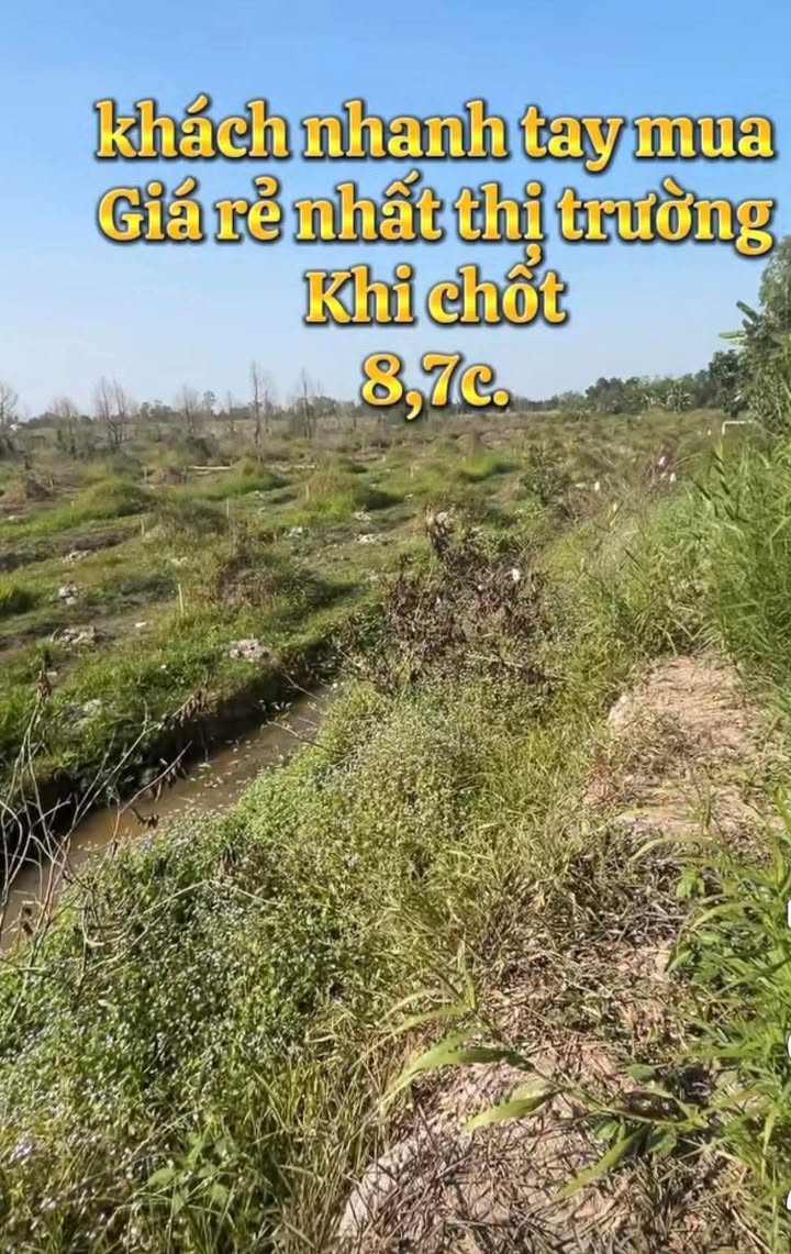 Đất nông nghiệp Mỹ Trung Cái Bè 8,7 công giá 330 triệu - Cơ hội đầu tư sinh lời!