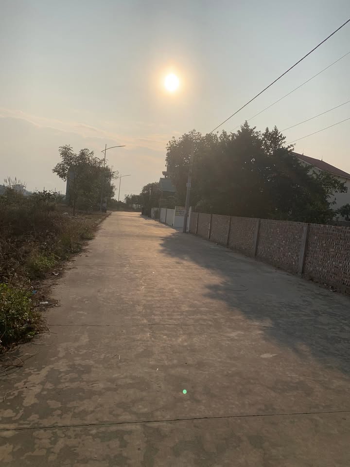 Đất nền làng Triều Tân, Dân An, Tứ Kỳ 100m² giá chỉ 1.65 tỷ - Cơ hội đầu tư tuyệt vời!