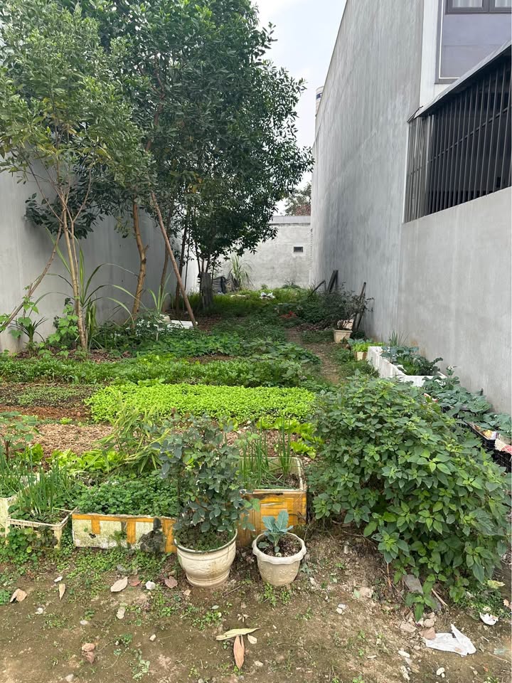 Đất nền đường Lê Lai, Yên Bái 132m² giá chỉ 2 tỷ - Vị trí trung tâm an ninh tốt!