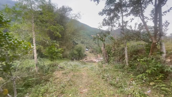 Đất nông nghiệp 10ha tại Xã Yên Lương, Thanh Sơn - Giá chỉ 5 tỷ!