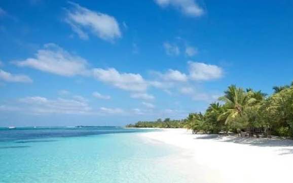 Đất Biển Non Nước 84.5m² - Nguyễn Nghiễm Ngũ Hành Sơn - Giá 5.4 Tỷ