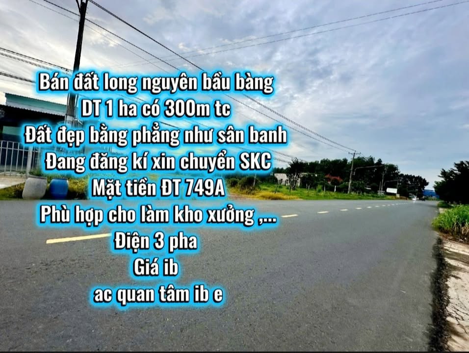 Đất nền 1ha mặt tiền ĐT 749A, xã Long Nguyên, Bàu Bàng - Giá tốt, thích hợp làm kho xưởng!