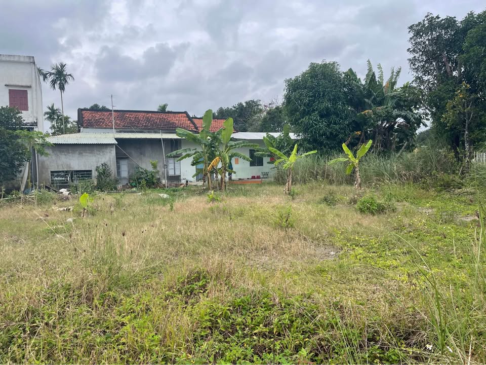 Đất nền Hòa Quý, Đà Nẵng 157m² giá 2 tỷ - Sổ đỏ chính chủ, ô tô vào tận nơi!