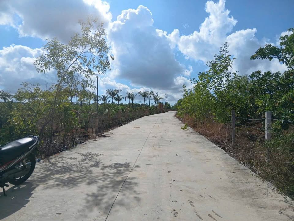 Đất thổ cư 1000m² Thiện Nghiệp - Giá chỉ 9 tỷ, sổ hồng chính chủ!