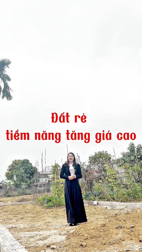 Đất nền Thanh Cao Lương Sơn 98m² giá 500 triệu - Cơ hội đầu tư hiếm có!