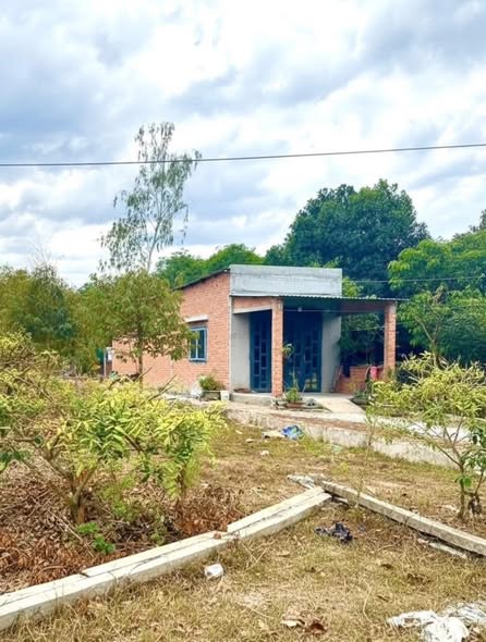 Đất nền Huyện Ninh Hải 200m² giá 250 triệu - Sổ hồng riêng, chính chủ!