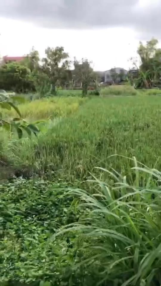 Đất thổ cư 110m² tại xóm 5 Khánh Tiên, Ninh Bình - Đầu tư sinh lời ngay!