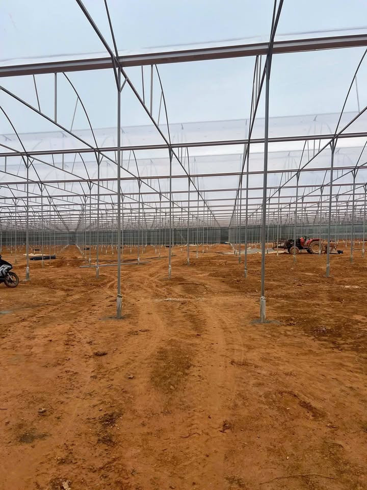 Cho thuê nhà lồng 7 sào tại Lạc Dương - Giá chỉ 301 triệu/năm