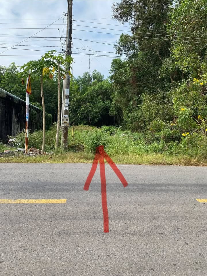 Đất nền ĐH 501, xã Tam Lập, 525m² giá 3.6 tỷ - Đầu tư sinh lời ngay!