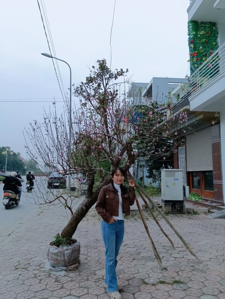 Nhà 80m² Trục Chính Trịnh Kiểm, TP Thanh Hóa - Giá 6.98 Tỷ