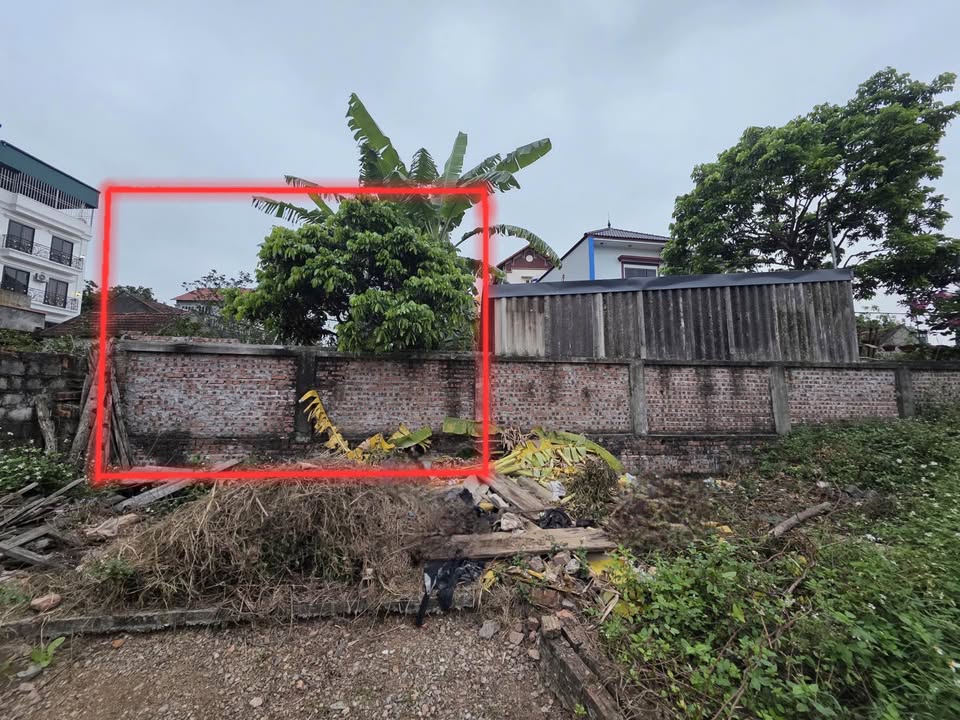 Lô đất Phụng Châu 80m² giá 3.2 tỷ - Chủ cần tiền bán gấp!