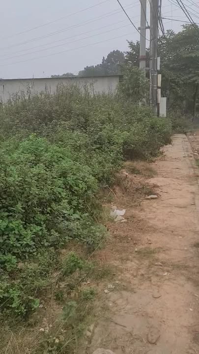 Đất nền thổ cư đường Hồng Tiến Phổ Yên 300m² - Bán gấp trước Tết!