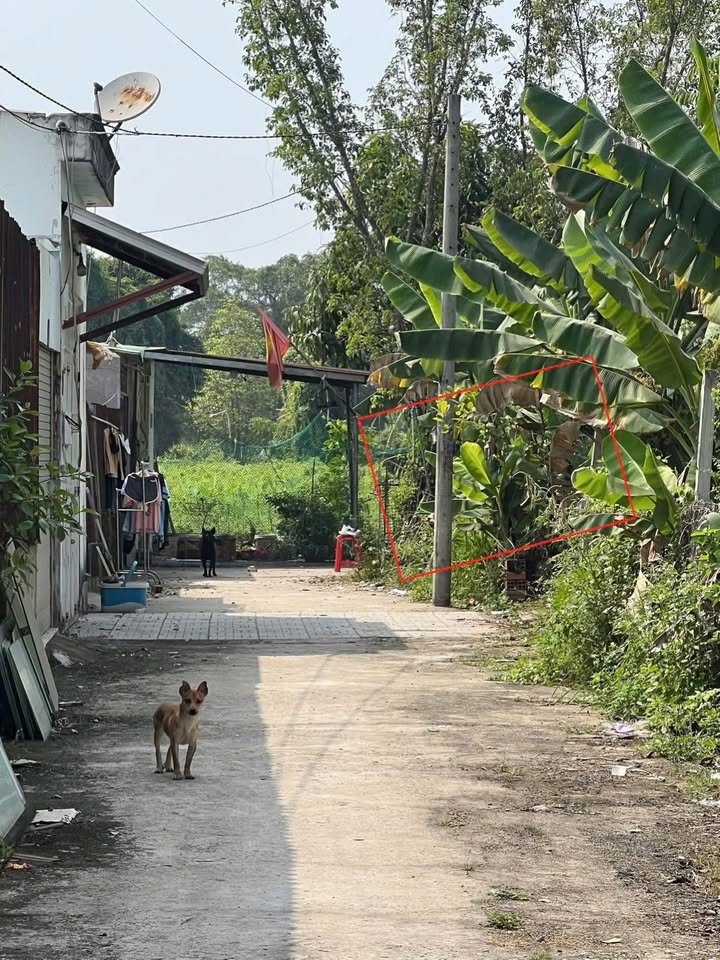 Đất nền 71m² xã Bình Mỹ, Củ Chi chỉ 250 triệu - Cơ hội đầu tư tuyệt vời!