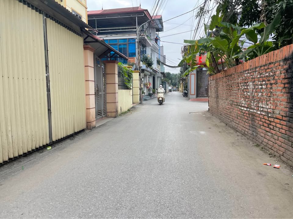 Đất nền xã Đại Thịnh, huyện Mê Linh 81m² giá chỉ 3 tỷ - Đầu tư sinh lời tuyệt vời!