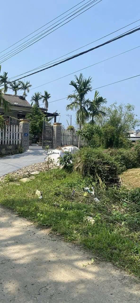 Đất nền KDC văn hóa La Vân Hạ, 100m², giá chỉ 3xx triệu - Cơ hội đầu tư tuyệt vời!