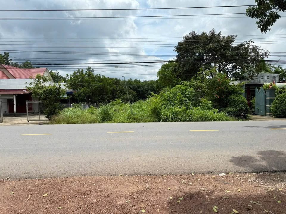 Đất nền 2500m² mặt tiền đường DH507 xã An Linh - Giá chỉ 5 tỷ