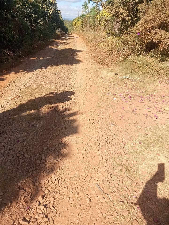 Đất nông nghiệp Hòa Ninh 10.000m² giá 7.5 tỷ - Sổ đỏ chính chủ, vị trí tiềm năng!