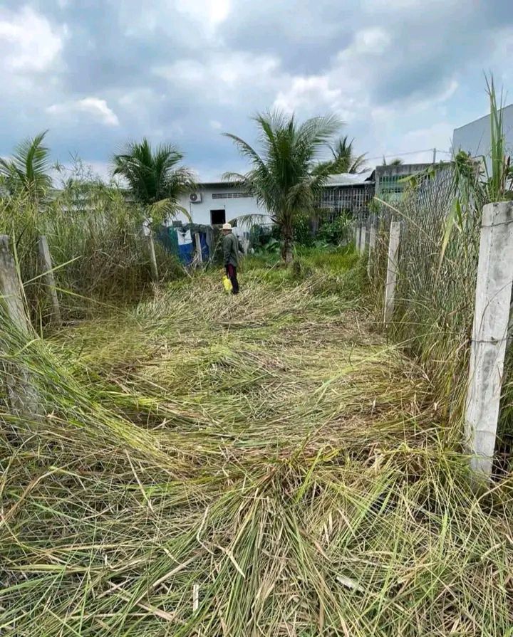 Đất nền 5x20m tại Ấp Mỹ Lợi, Mỹ Phong – Sổ hồng chính chủ, giá chỉ 550 triệu!