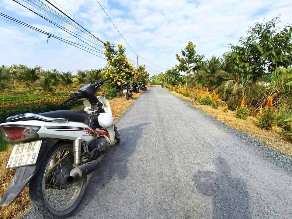 Đất nền xã An Thạnh Thủy, huyện Chợ Gạo, 1000m² giá 1.4 tỷ - Khu dân cư đông đúc!