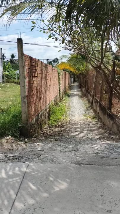 Đất mặt tiền 4m tại Tân Hưng, Cái Bè, 429m² chỉ 9 tỷ - Đầu tư sinh lời hấp dẫn!