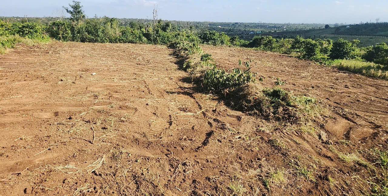 Đất thổ cư 945m² tại Thôn 9, Xã Ea Drông giá chỉ 319 triệu - Cơ hội đầu tư tuyệt vời!