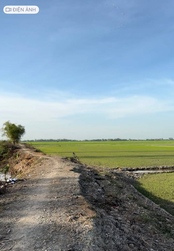 Đất ruộng 2 vụ xã Tân Phước, huyện Tân Hồng, 16.500m² - Giá đầu tư hấp dẫn!